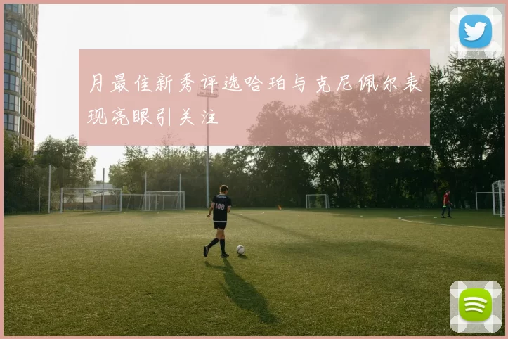 月最佳新秀评选哈珀与克尼佩尔表现亮眼引关注