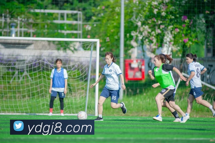 云顶国际APP 封面图